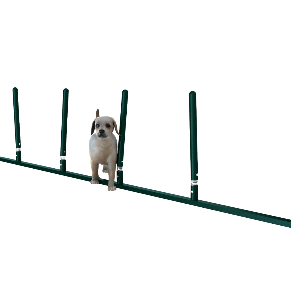 מתקני אג'יליטי לכלבים מוט