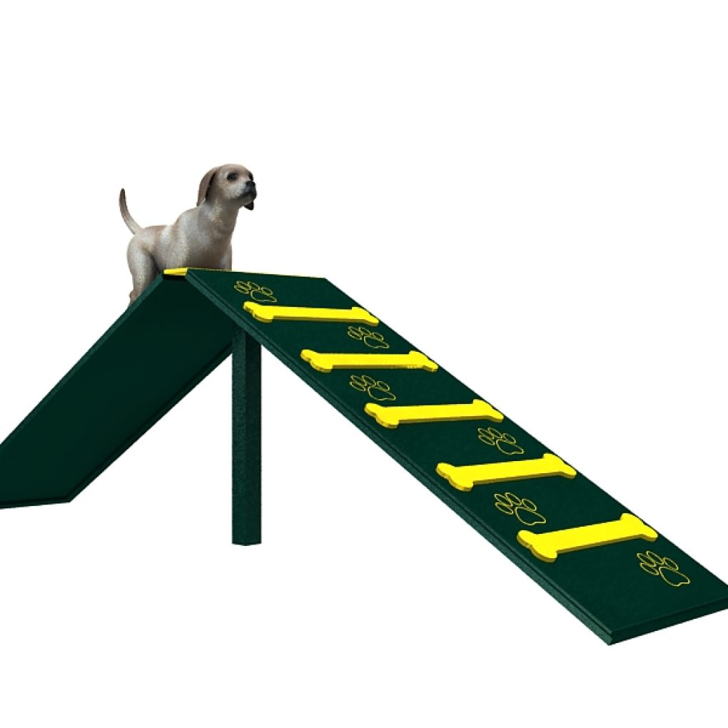 מתקני אג'יליטי לכלבים