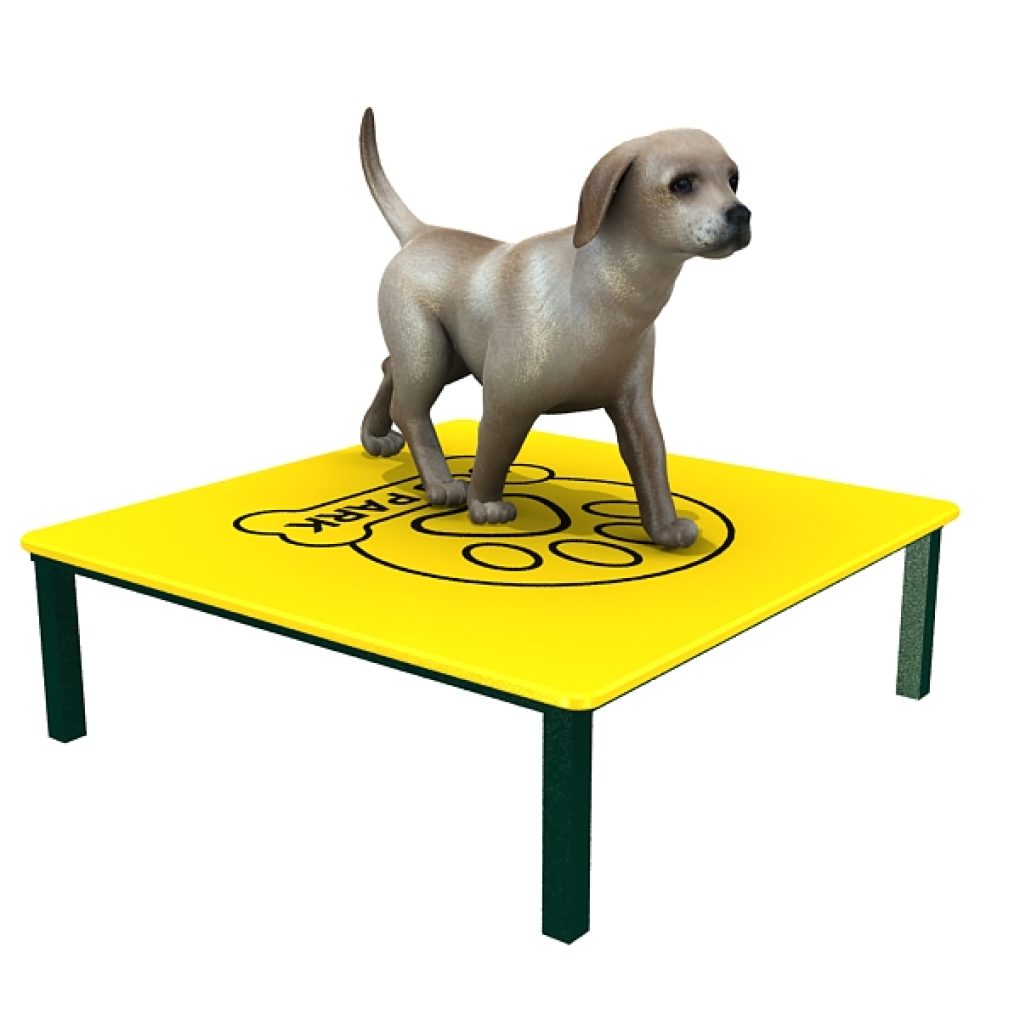 FDP-013 PAWS GROOMING TABLE